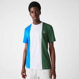 Lacoste Branded Crew Neck Pamuklu Gri Mavi Yeşil | XZ5096471