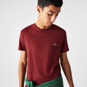 Lacoste Crew Neck Pima Pamuklu Jersey Bordo | XW3978624