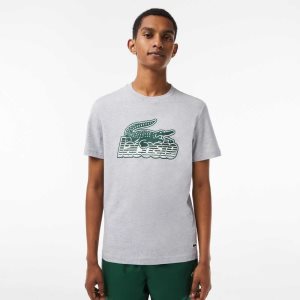 Lacoste Pamuklu Jersey Print Gri | EC5631072