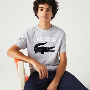 Lacoste Regular Fit XL Crocodile Print Gri | JF3572901