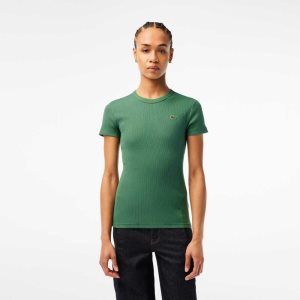 Lacoste Slim Fit Organic Pamuklu T-Shirt Haki Yeşil | IE9743520