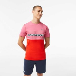 Lacoste Tenis x Daniil Medvedev Jersey Pembe Kırmızı Mavi | QL0852674