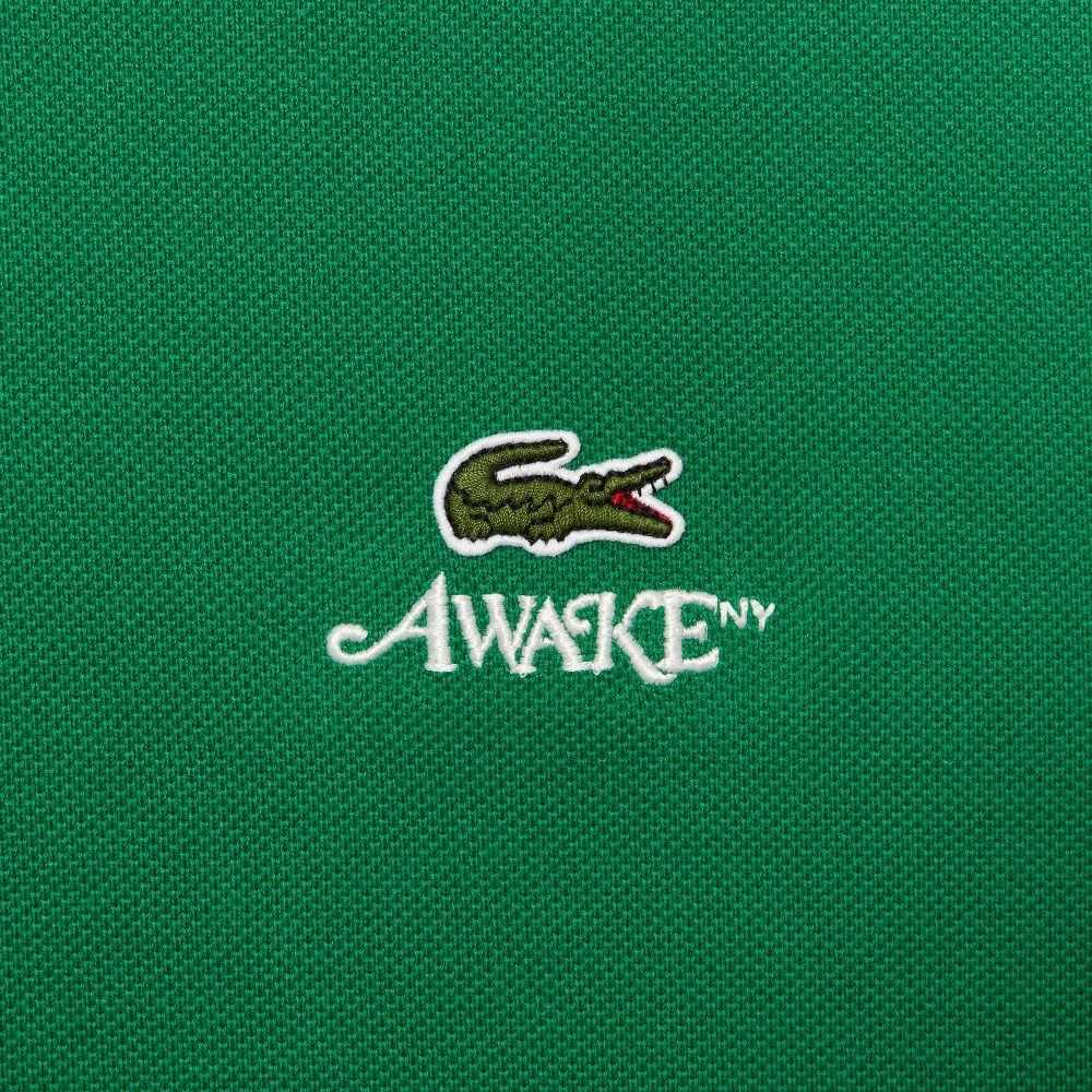 Lacoste AWAKE NY Logo Pamuklu Pique Yeşil | PN6701984