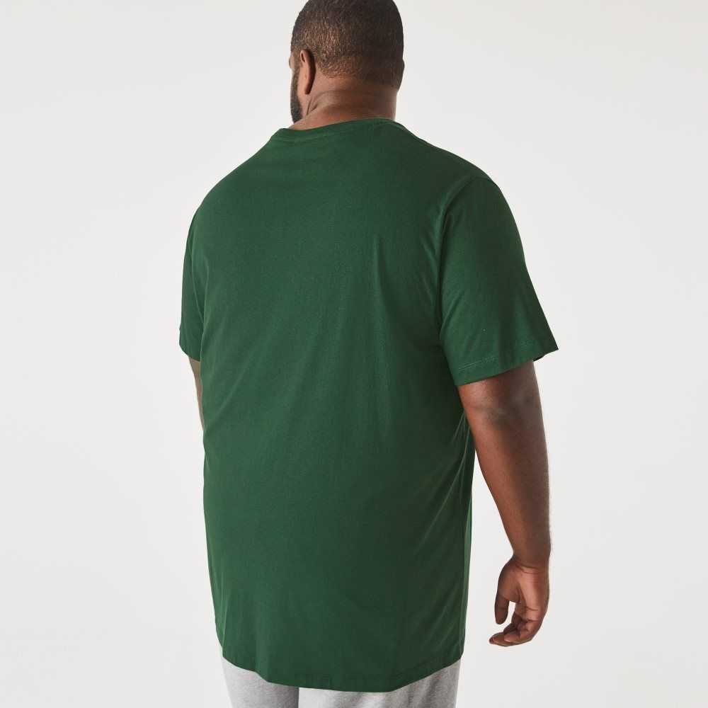 Lacoste Big Fit Crew Neck Pamuklu Jersey Yeşil | VH9736504