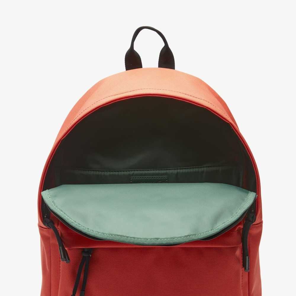 Lacoste Computer Compartment Backpack Renkli | YM8692451