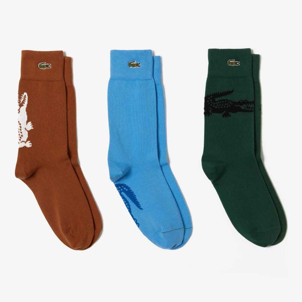 Lacoste Crocodile Pattern Sock Three-Pack Kahverengi Beyaz Yeşil Siyah Mavi | XA0321476