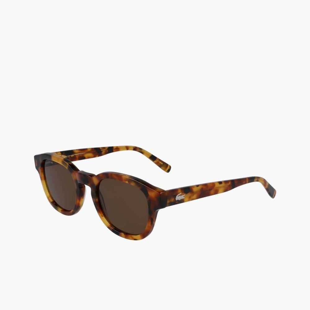 Lacoste Oval Bio Acetate National Geographic Renkli | AW7036498