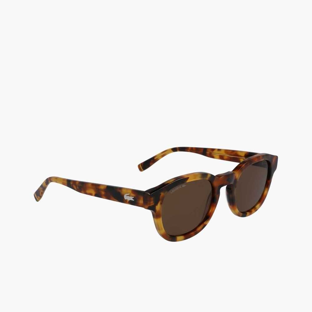 Lacoste Oval Bio Acetate National Geographic Renkli | AW7036498