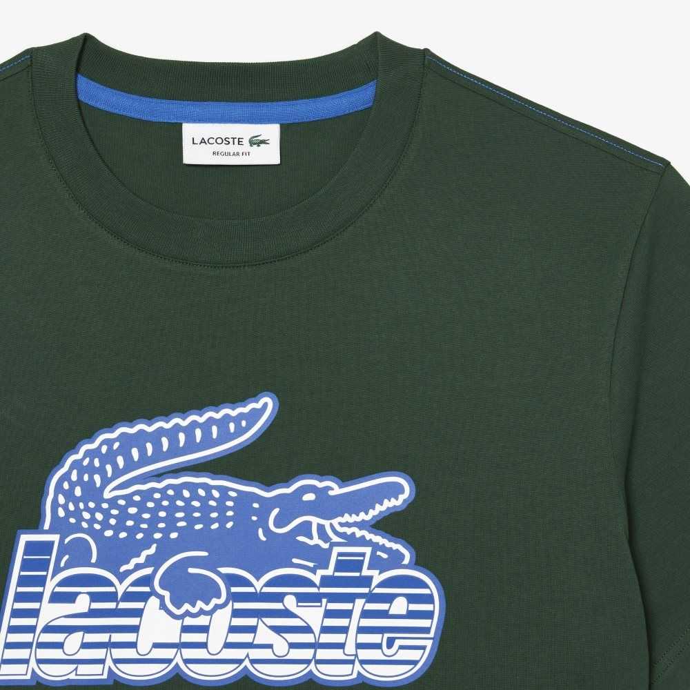 Lacoste Pamuklu Jersey Print Yeşil | HE7034695