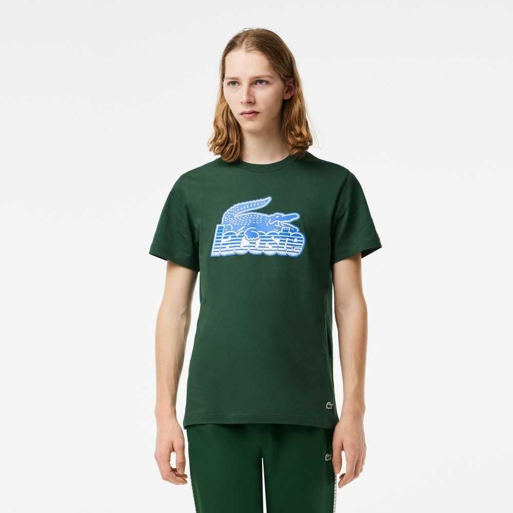 Lacoste Pamuklu Jersey Print Yeşil | HE7034695