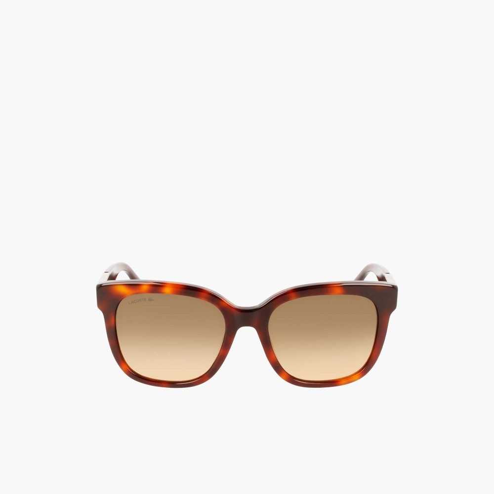 Lacoste Rectangle Acetate Croco Skin Renkli | LD7520431