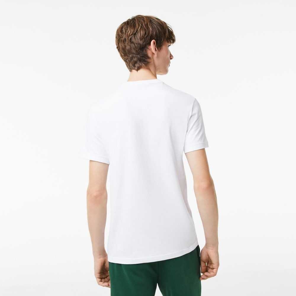 Lacoste Regular Fit Jersey Beyaz | AE1789650