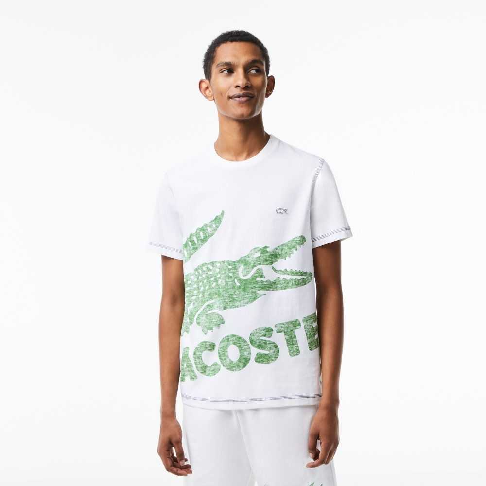 Lacoste Regular Fit Organic Pamuklu Jersey Beyaz | AG8902671