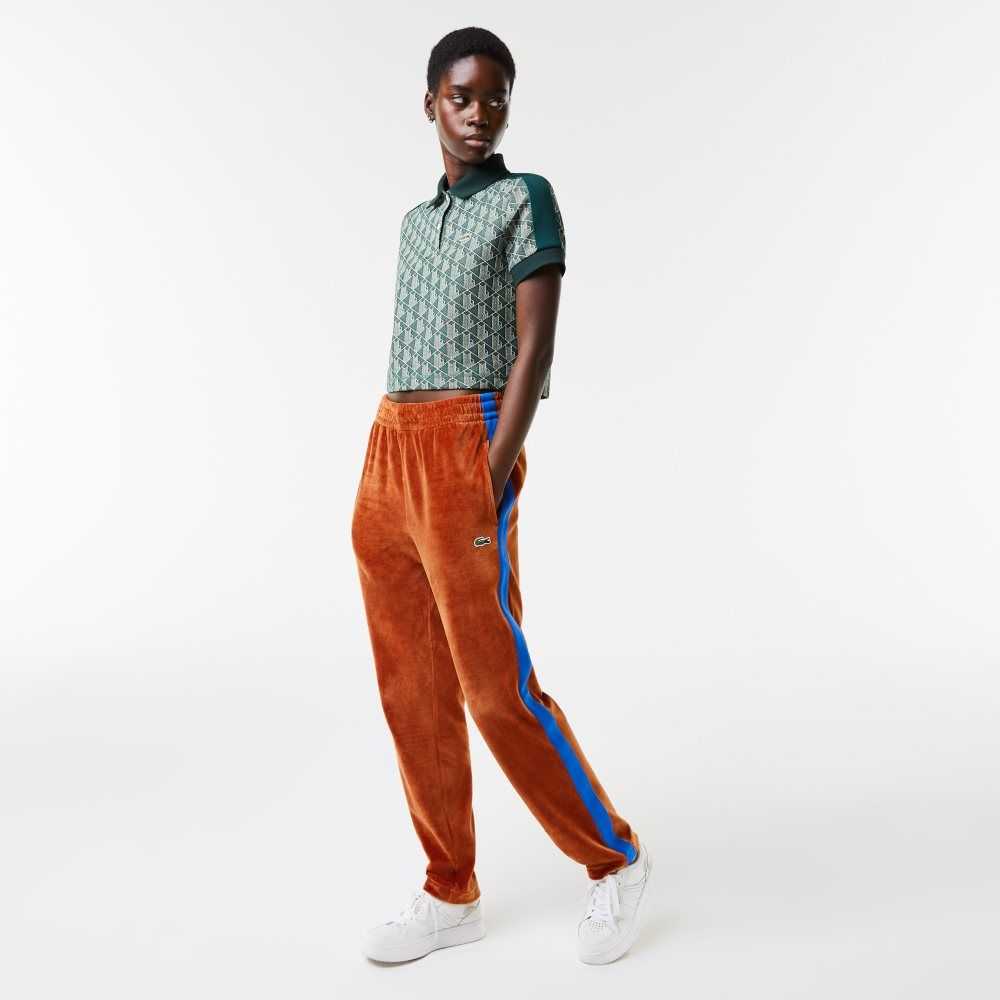 Lacoste Side Contrast Band Trackpants Kahverengi | QY0984653