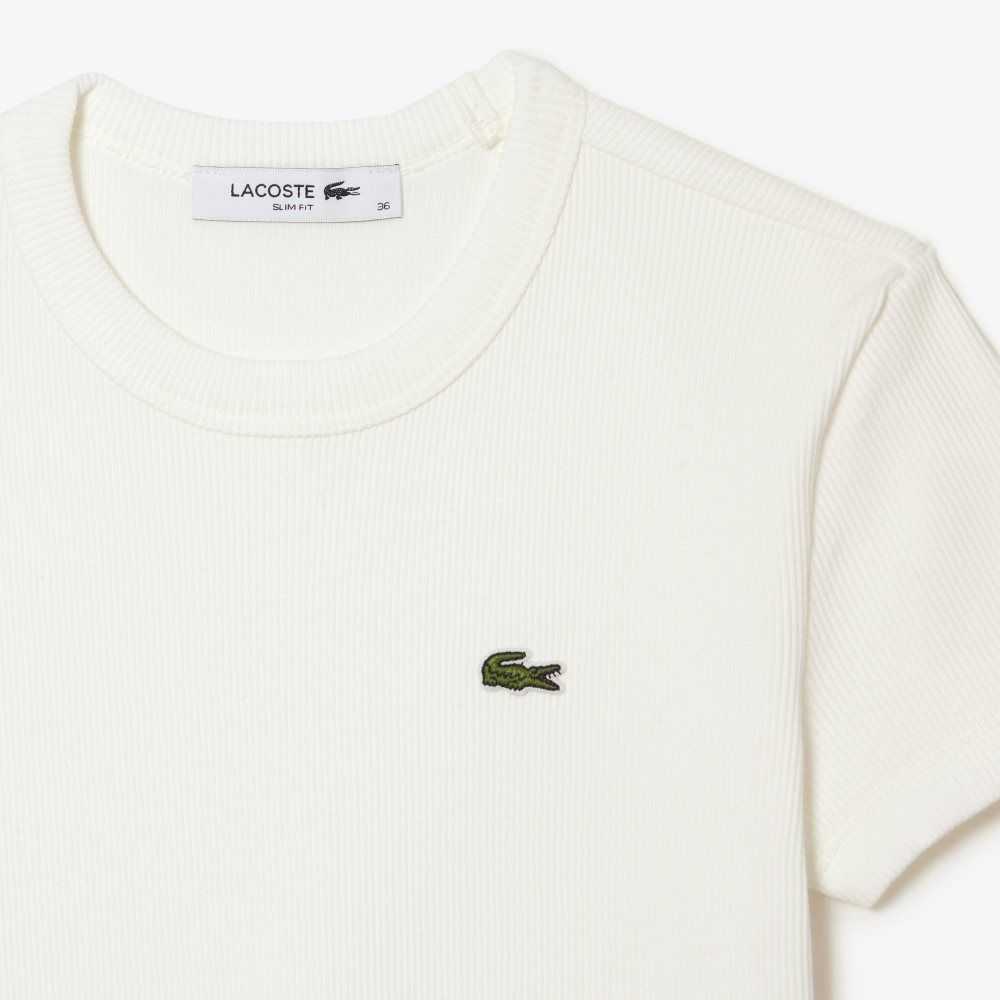 Lacoste Slim Fit Organic Pamuklu T-Shirt Beyaz | GE0915637