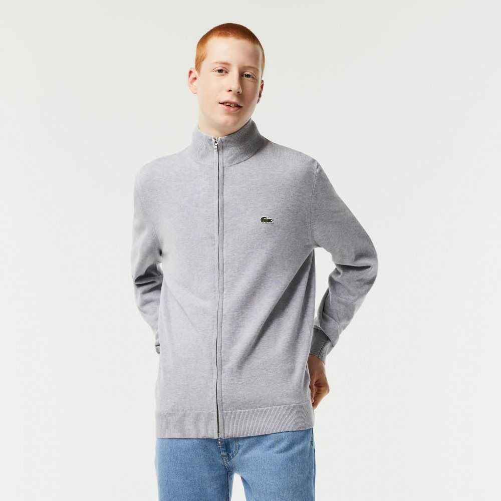 Lacoste Stand-Up Collar Organic Pamuklu Zippered Gri | OL0481957