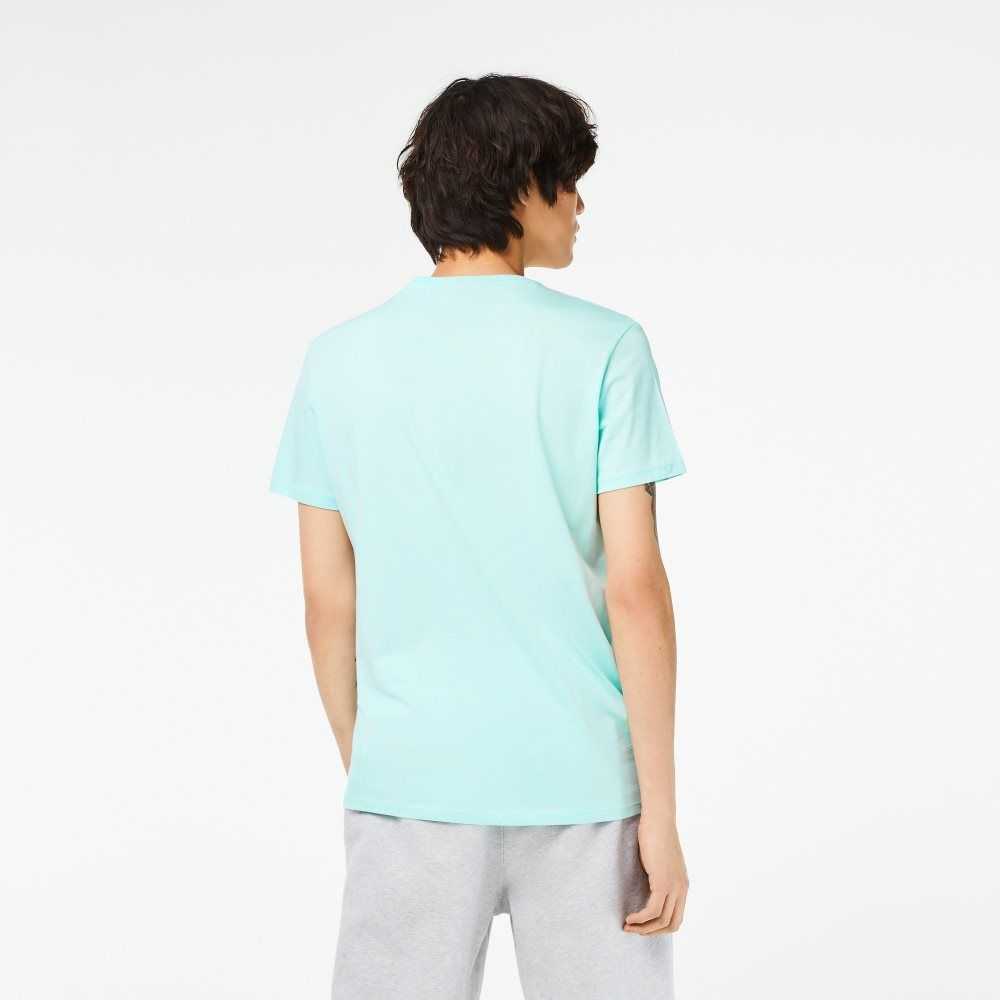 Lacoste V-Neck Pima Pamuklu Jersey Nane | ZP0429157